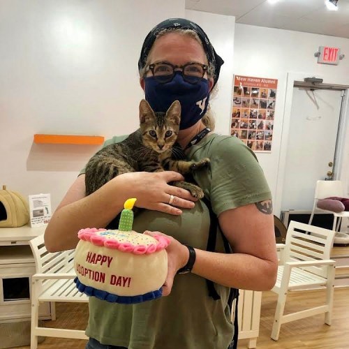A woman wearing a mask holds a kitten and a cake that says "Happy Adoption Day" in a cozy indoor setting.