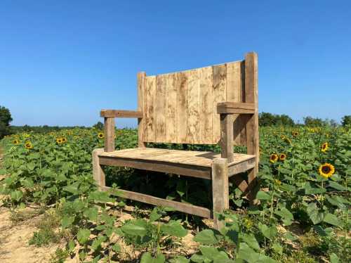 A rustic wooden bench in a sunflower field under a clear blue sky.