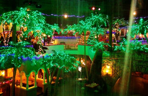 A vibrant indoor scene with palm trees adorned in colorful lights, creating a festive atmosphere.