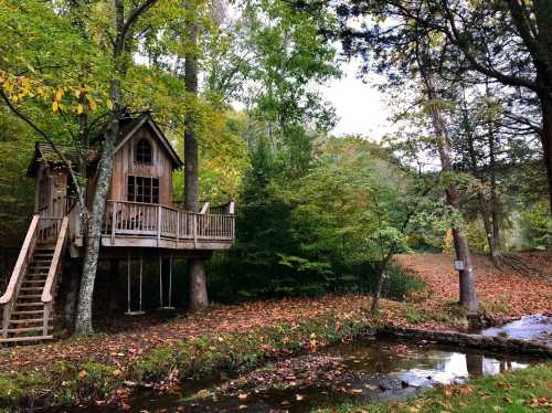 A charming wooden treehouse nestled among trees, with a small stream and fallen leaves in the foreground.