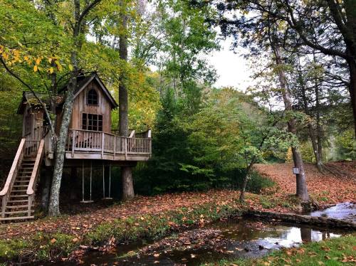 A charming wooden treehouse nestled among trees, with a small stream and fallen leaves in the foreground.