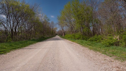 A gravel road stretches into the distance, flanked by trees and greenery under a clear blue sky.