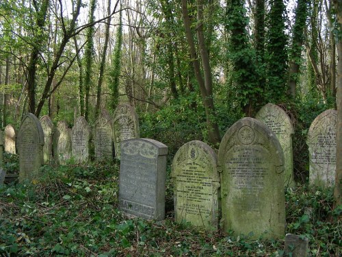 A row of old gravestones in a wooded area, surrounded by trees and overgrown vegetation.