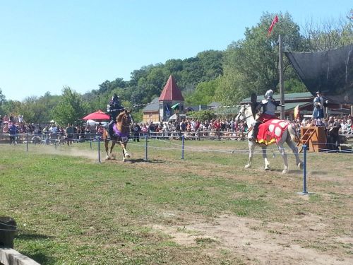 Two knights on horseback compete in a jousting event, with a crowd watching in a sunny outdoor setting.