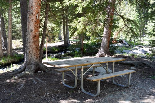 A wooden picnic table surrounded by trees in a serene forest setting.