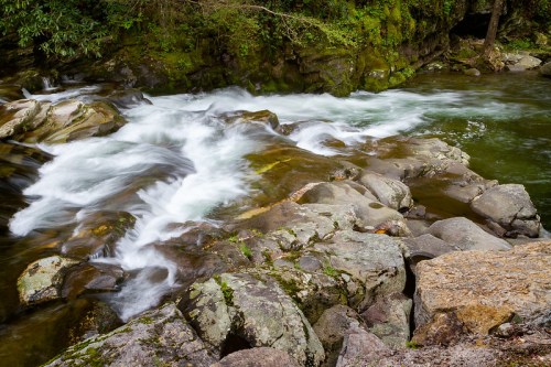 A serene river flows over smooth rocks, surrounded by lush greenery and gentle currents.