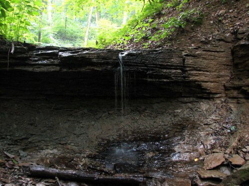 A small waterfall cascades over rocky terrain, surrounded by lush green foliage in a serene forest setting.