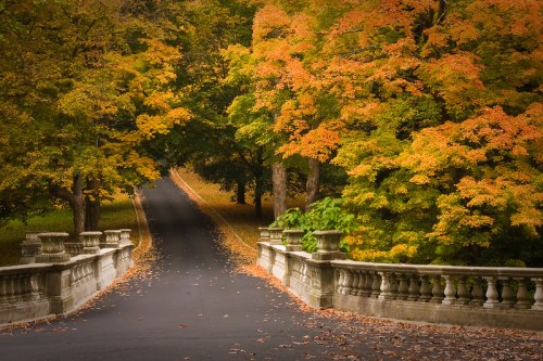 A scenic view of a tree-lined road with vibrant autumn foliage and a stone bridge in the foreground.