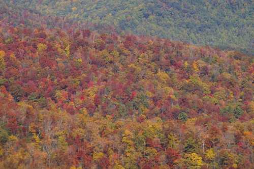 Vibrant autumn foliage covers rolling hills, showcasing a mix of red, orange, and yellow leaves against green trees.