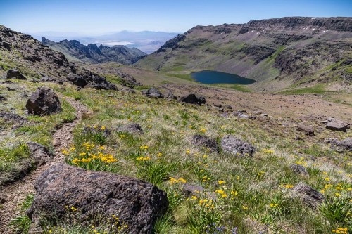A scenic mountain landscape with rocky terrain, vibrant wildflowers, and a serene lake in the distance under a clear blue sky.