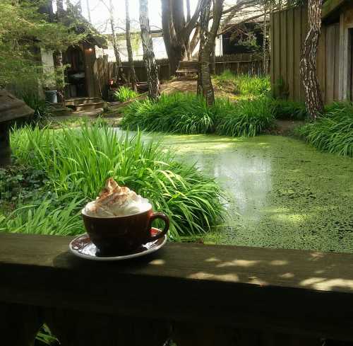 A cup of coffee topped with whipped cream sits on a wooden railing, overlooking a lush green garden and pond.