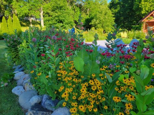 A vibrant garden filled with colorful flowers, including yellow daisies, red blooms, and lush green foliage.