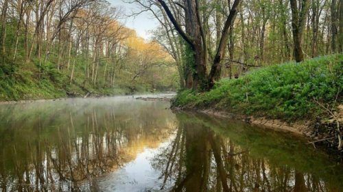 A serene river scene surrounded by lush green trees, reflecting the morning light and mist on the water's surface.