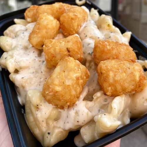 A close-up of creamy pasta topped with crispy tater tots in a black takeout container.