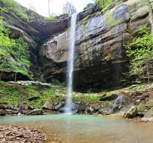 A serene waterfall cascades down rocky cliffs into a clear pool, surrounded by lush green foliage.