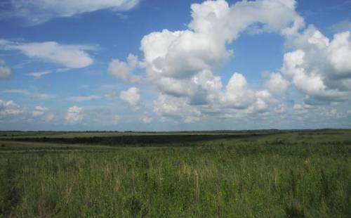 A wide view of green fields under a blue sky filled with fluffy white clouds.