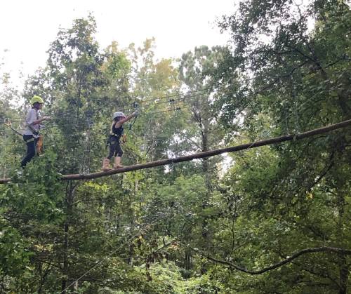 Two people navigate a zip line course in a forest, walking on a narrow log among trees.