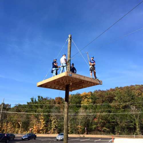 Four people on a wooden platform high above the ground, surrounded by trees and a clear blue sky.