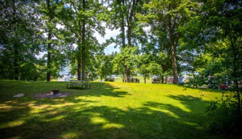 A sunny park scene with green grass, trees, and a picnic table, overlooking a lake in the background.