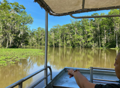 A person points towards a lush, green landscape from a boat on a calm, reflective river surrounded by trees.