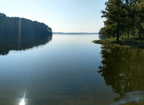 A calm lake reflecting trees and a clear sky, with gentle ripples on the water's surface.