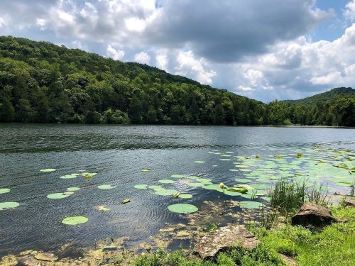 A serene lake surrounded by lush green hills, with lily pads floating on the water under a partly cloudy sky.