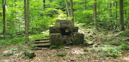 A stone fireplace surrounded by trees in a lush green forest, with steps leading up to it.
