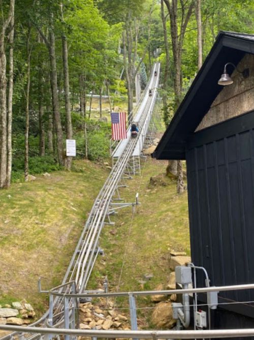 A scenic view of a mountain coaster track winding through trees, with an American flag in the background.