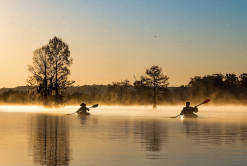Two kayakers paddle through a misty lake at sunrise, surrounded by silhouetted trees and calm waters.