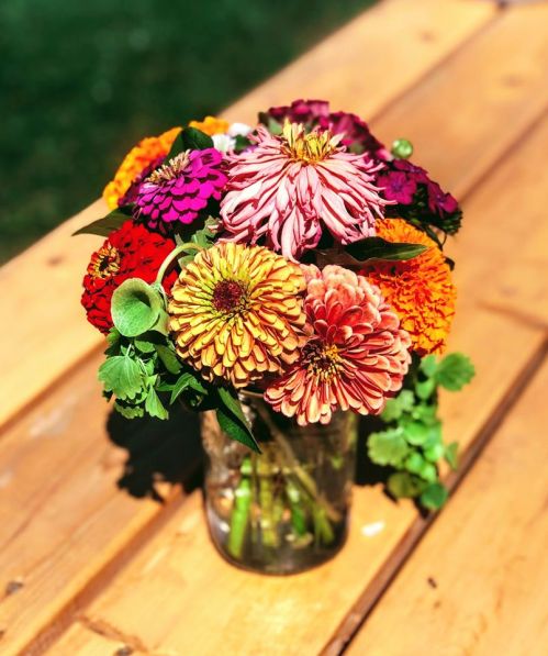 A vibrant bouquet of colorful zinnias in a glass jar, placed on a wooden table outdoors.