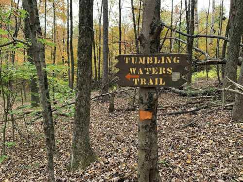 A wooden sign points to "Tumbling Waters Trail" in a forest with autumn foliage and fallen leaves.