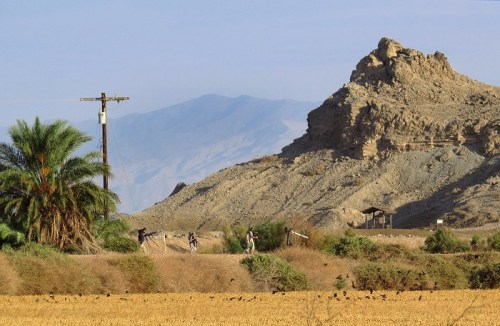 A desert landscape featuring a rocky hill, palm trees, and distant mountains under a clear blue sky.