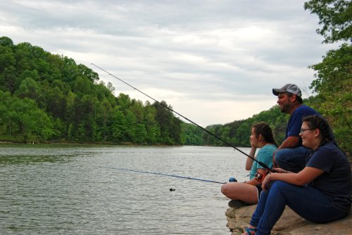 A man and two girls sit by a lake, fishing and enjoying nature on a cloudy day. Lush green trees line the shore.