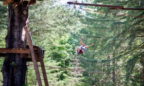 A person zip-lining through a forest, surrounded by tall trees and a wooden platform nearby.