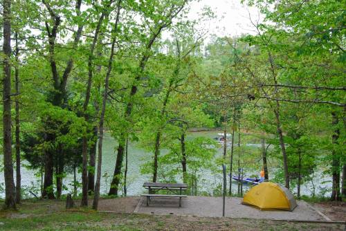 A yellow tent set up near a lake, surrounded by lush green trees and a picnic table in a serene camping area.