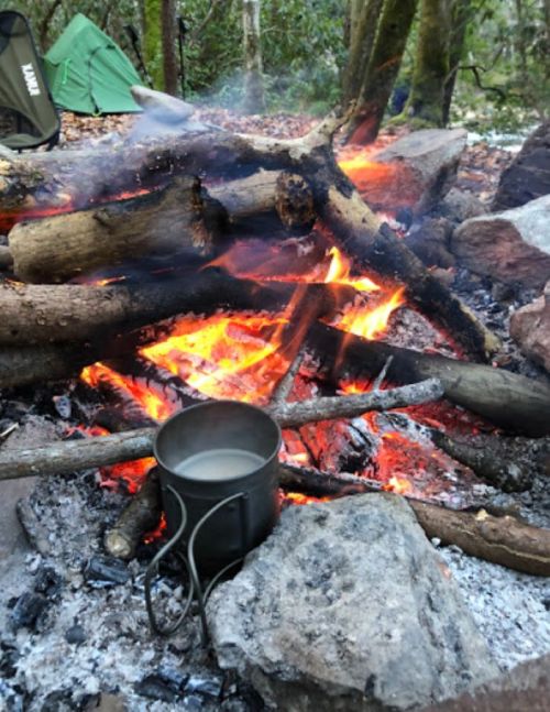 A campfire with burning logs and a metal pot sitting on the ground, surrounded by rocks in a forested area.
