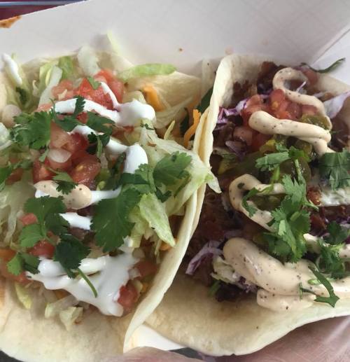 Two tacos filled with lettuce, tomatoes, and sauces, garnished with fresh cilantro.