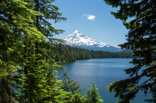 A serene lake surrounded by lush green trees, with a snow-capped mountain in the background under a clear blue sky.