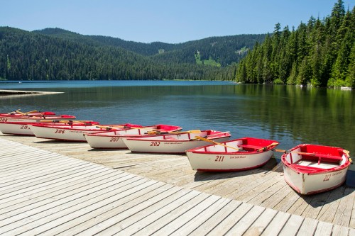 Rowboats lined up on a wooden dock by a serene lake, surrounded by lush green trees and mountains in the background.