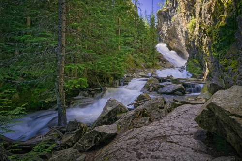 A serene forest scene featuring a flowing river and a waterfall surrounded by lush greenery and rocky terrain.