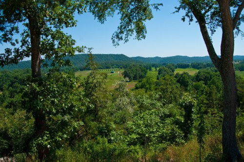 A scenic view of lush green fields and rolling hills framed by trees under a clear blue sky.