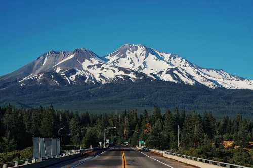 A scenic view of snow-capped mountains rising above a tree-lined road under a clear blue sky.