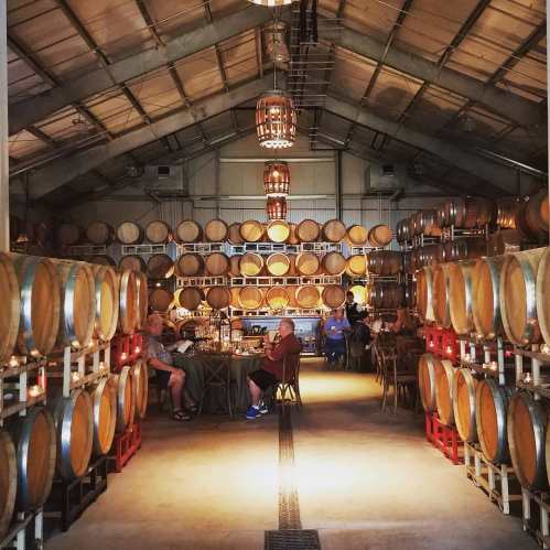 Interior of a rustic winery with wooden barrels lining the walls and people seated at tables enjoying the ambiance.