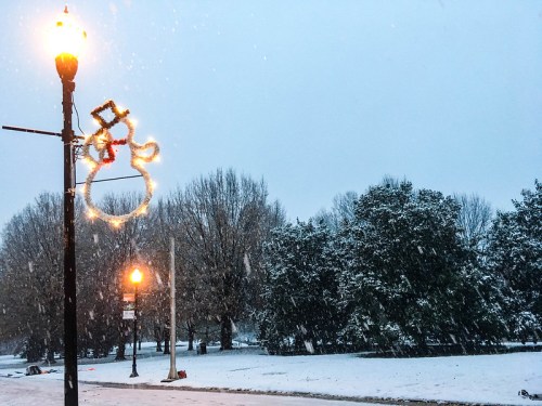 A snowy park scene with a festive decoration on a lamp post and trees in the background.
