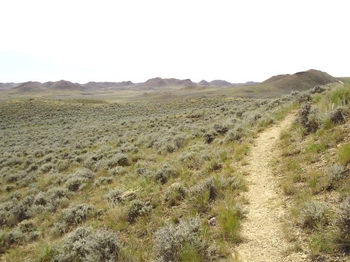 A winding dirt path through a vast, grassy landscape with low hills in the background under a bright sky.