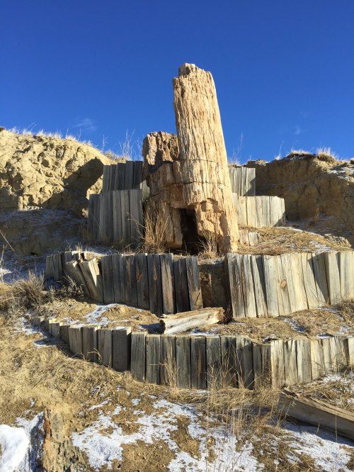A weathered wooden structure stands on a hillside, surrounded by dry grass and rocky terrain under a clear blue sky.