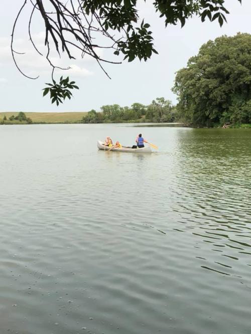 A person rows a small boat on a calm lake surrounded by trees and greenery.