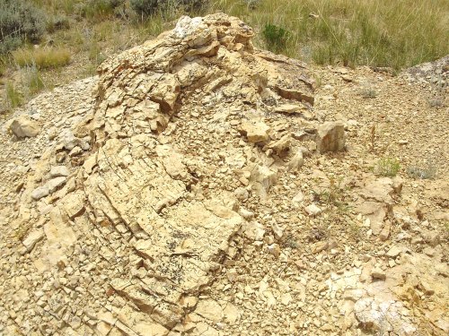 A rocky outcrop with layered sedimentary rocks, surrounded by sparse vegetation and dry grass.