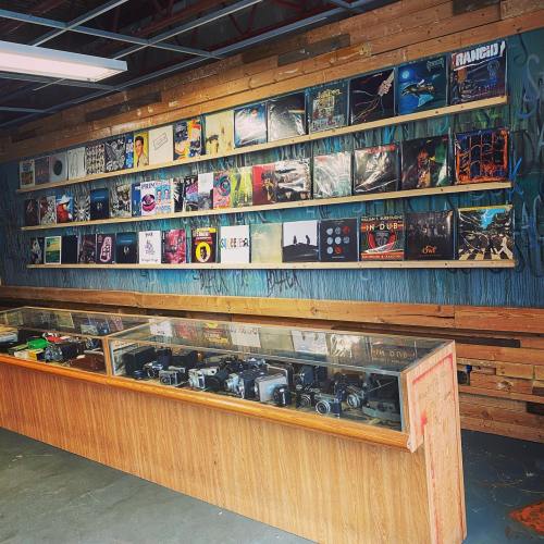 A display of vinyl records on a wall and vintage cameras in a glass case, set in a rustic interior.