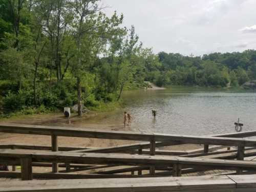 A sandy beach by a calm lake, with a person wading in the water and trees surrounding the area.